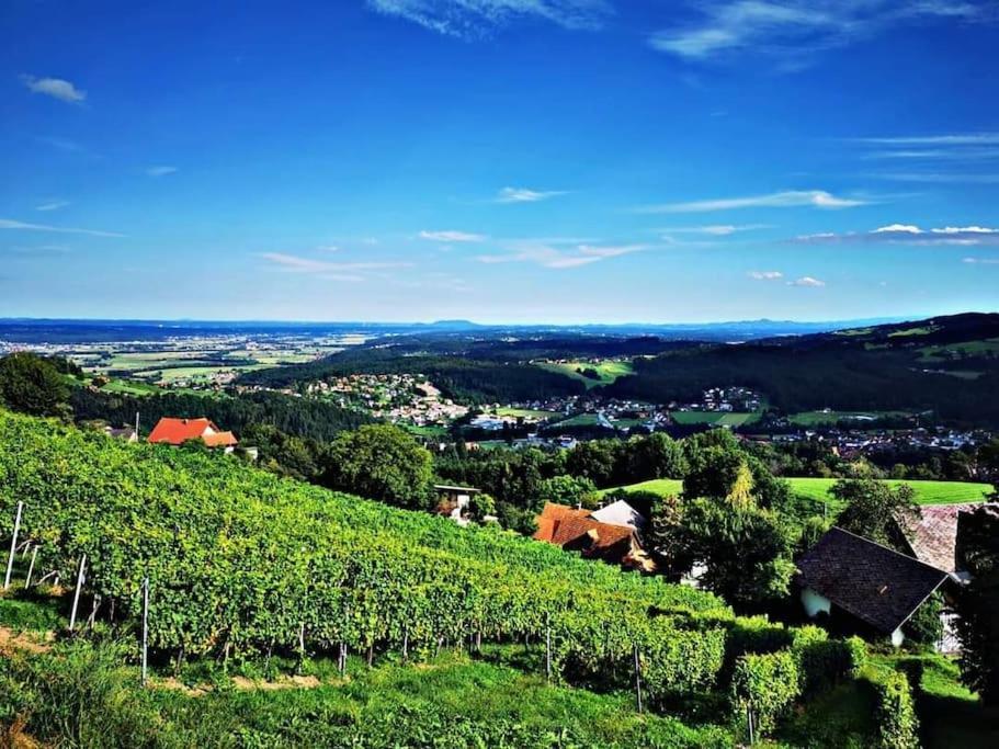 Wiednermichl - Urlaub In Den Weinbergen Krottendorf bei Ligist Esterno foto